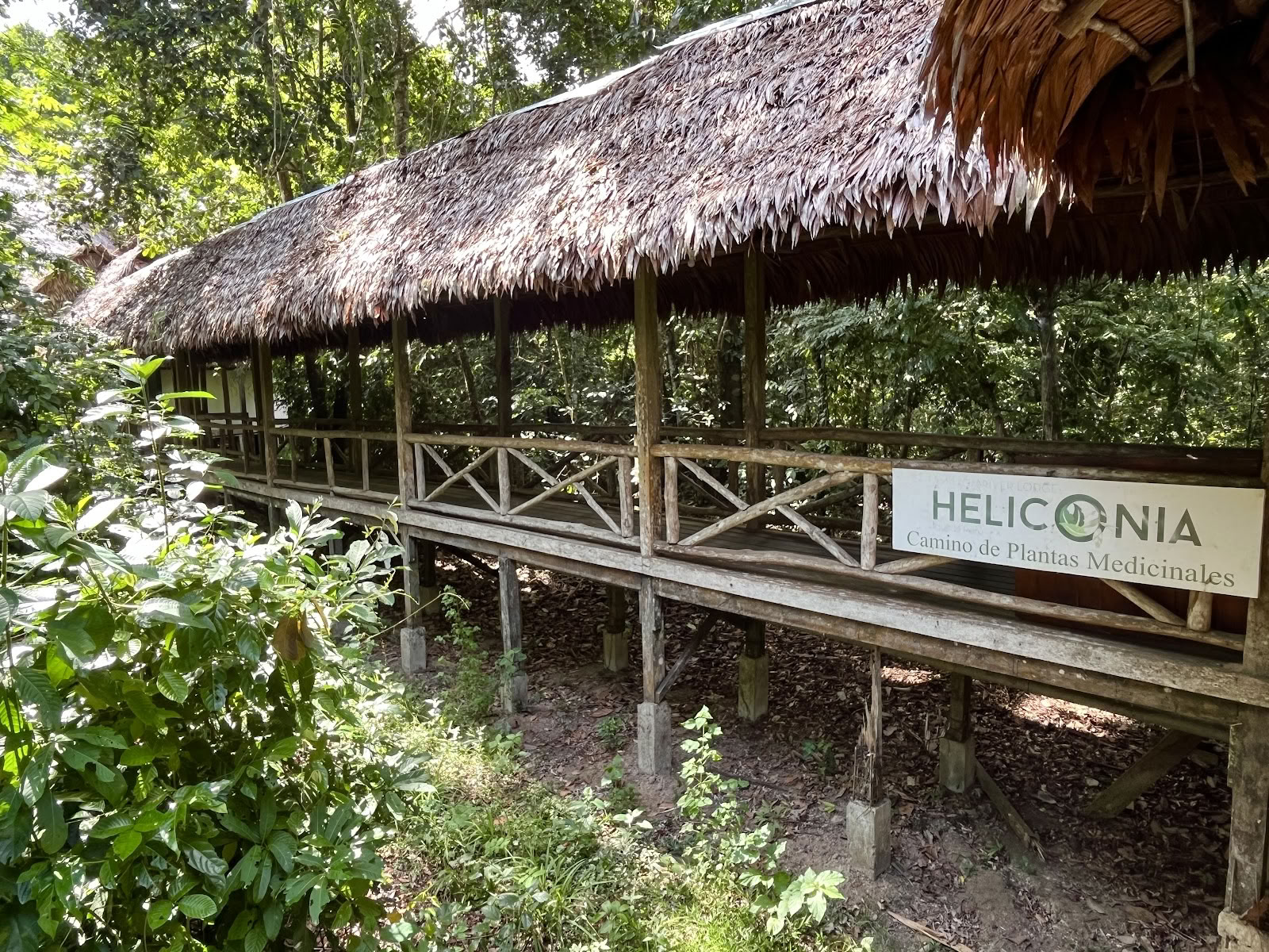 Espacio Chamánico