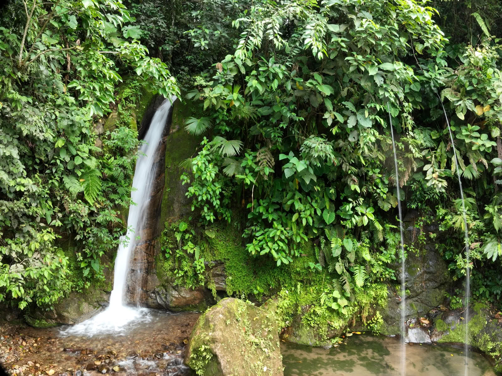 Mahadevi Ayahuasca Retiro Colombia