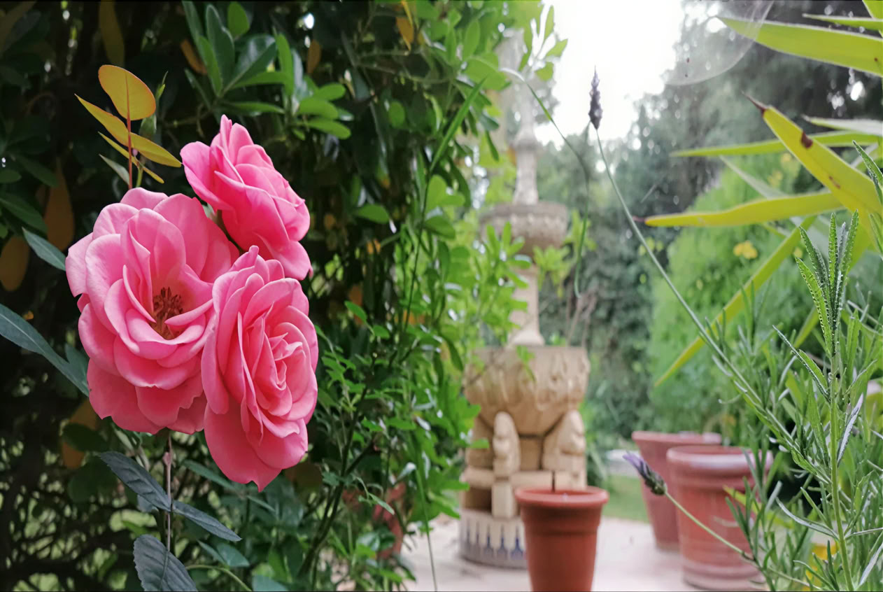 Casa Colibrí (Salud holística)
