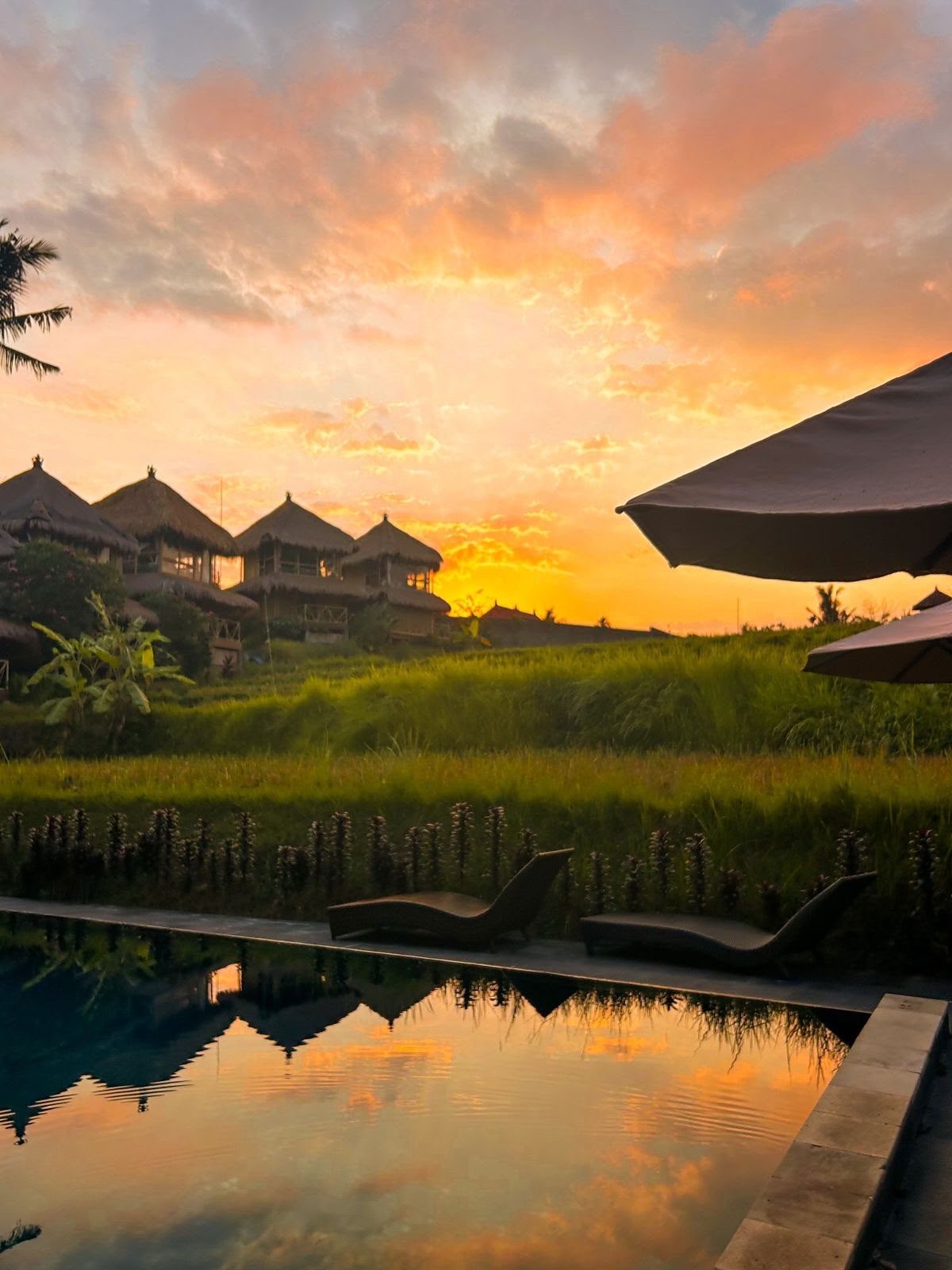 Shades of Yoga - Formación de profesores de yoga en Bali