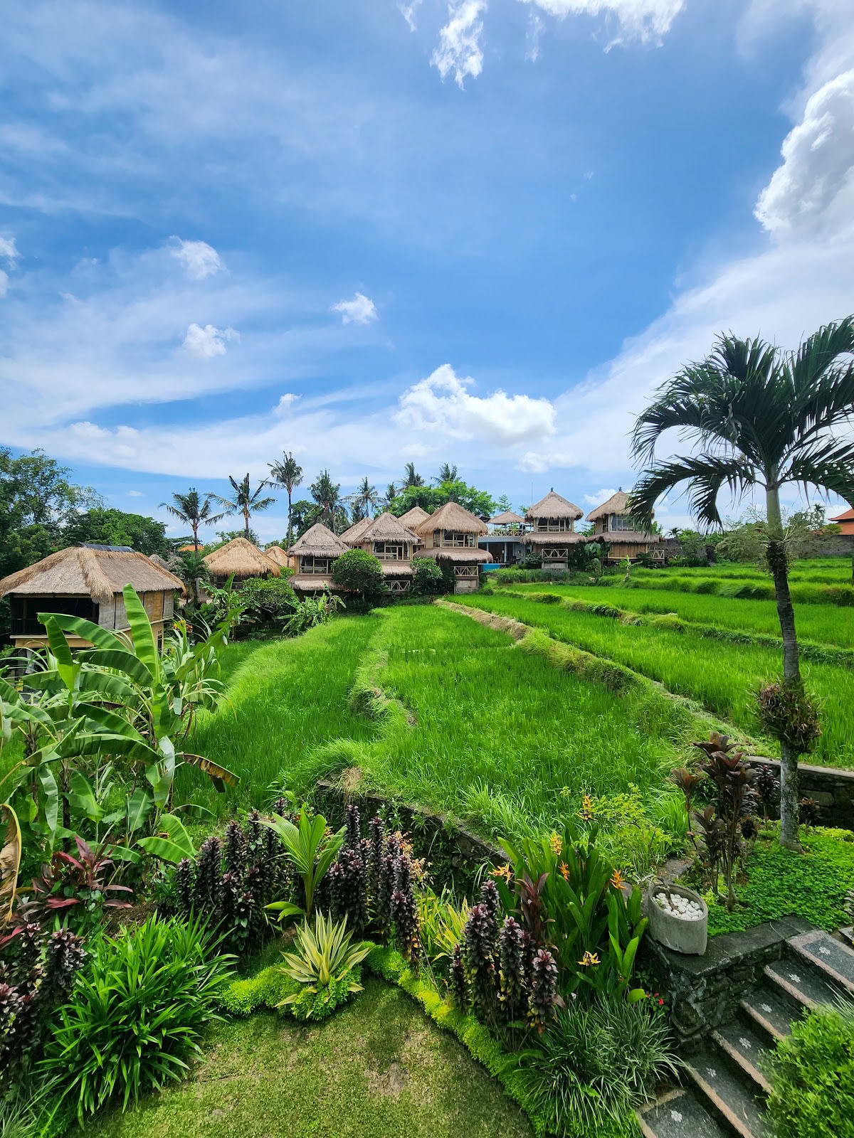 Shades of Yoga - Formación de profesores de yoga en Bali