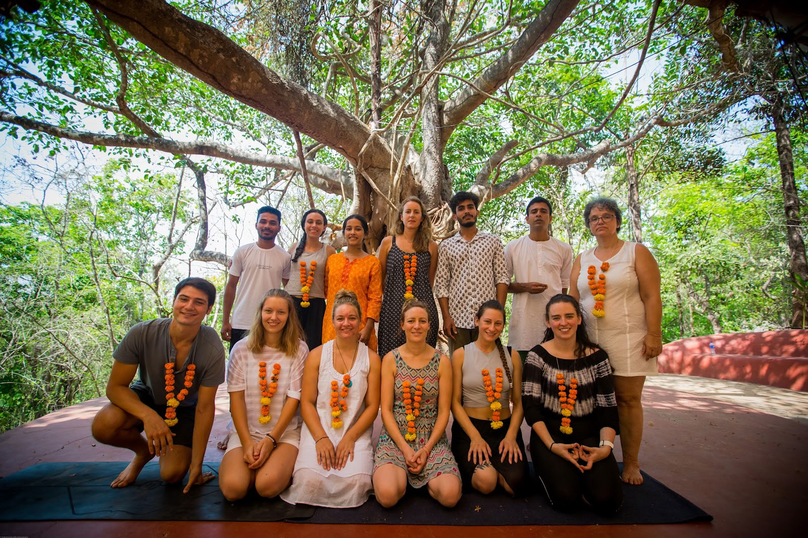Tapas Yoga India| Mejor formación de profesores de yoga y retiro de yoga en India