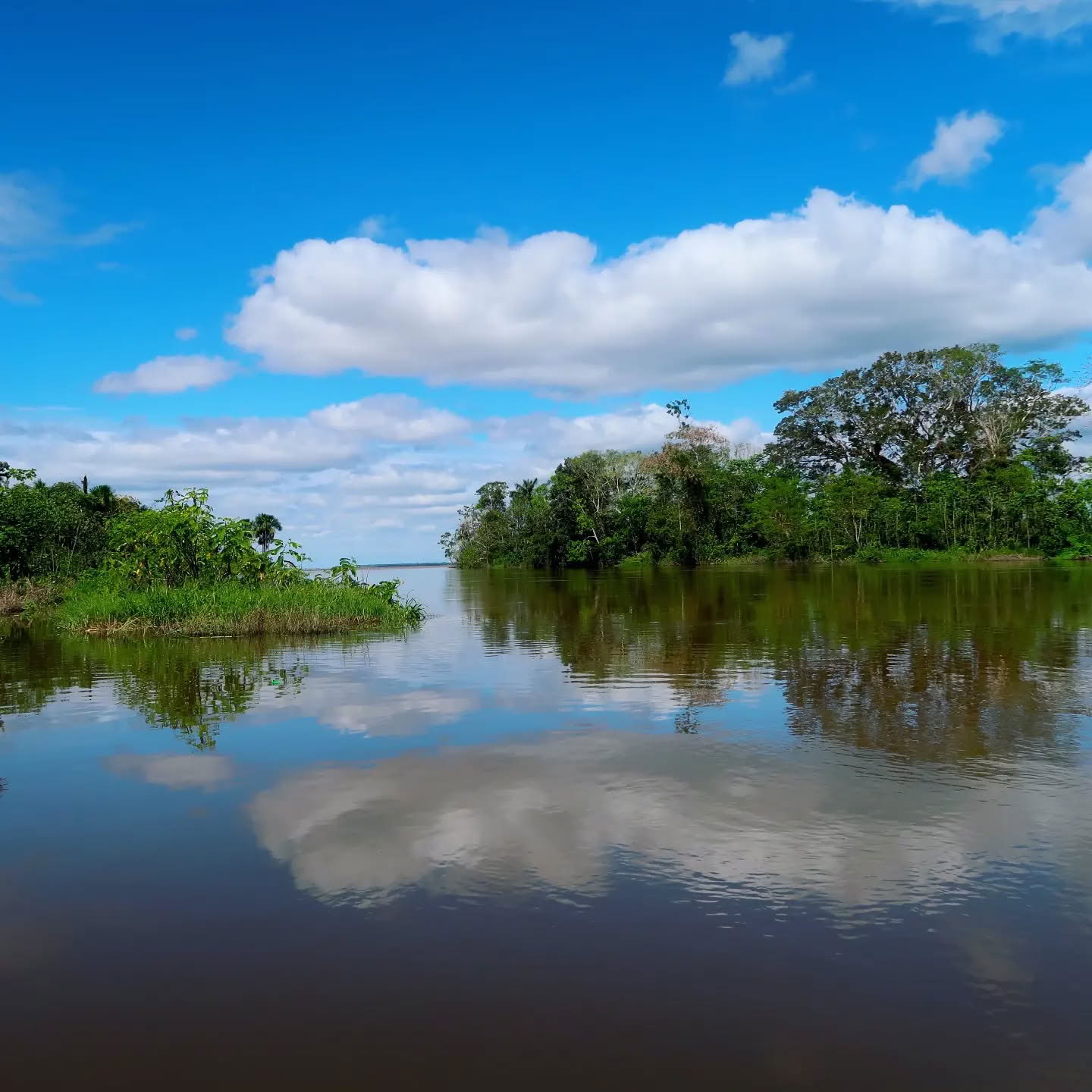 La Luna del Amazonas