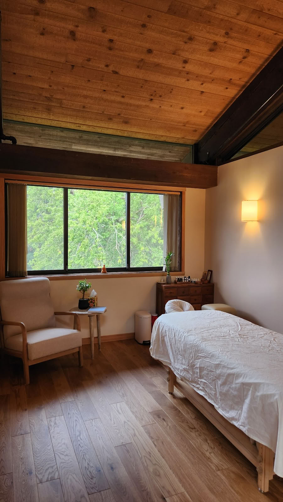 Camino Wellness Center | Acupuncture y Meditación
