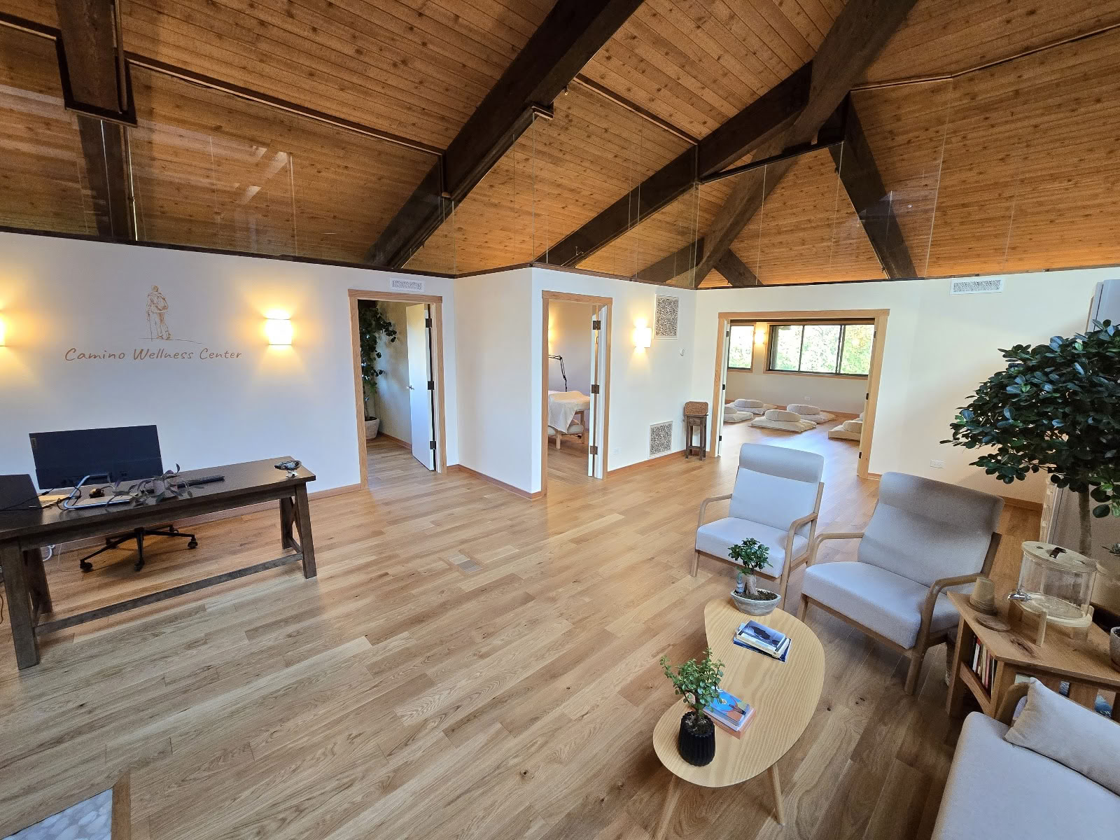 Camino Wellness Center | Acupuncture y Meditación
