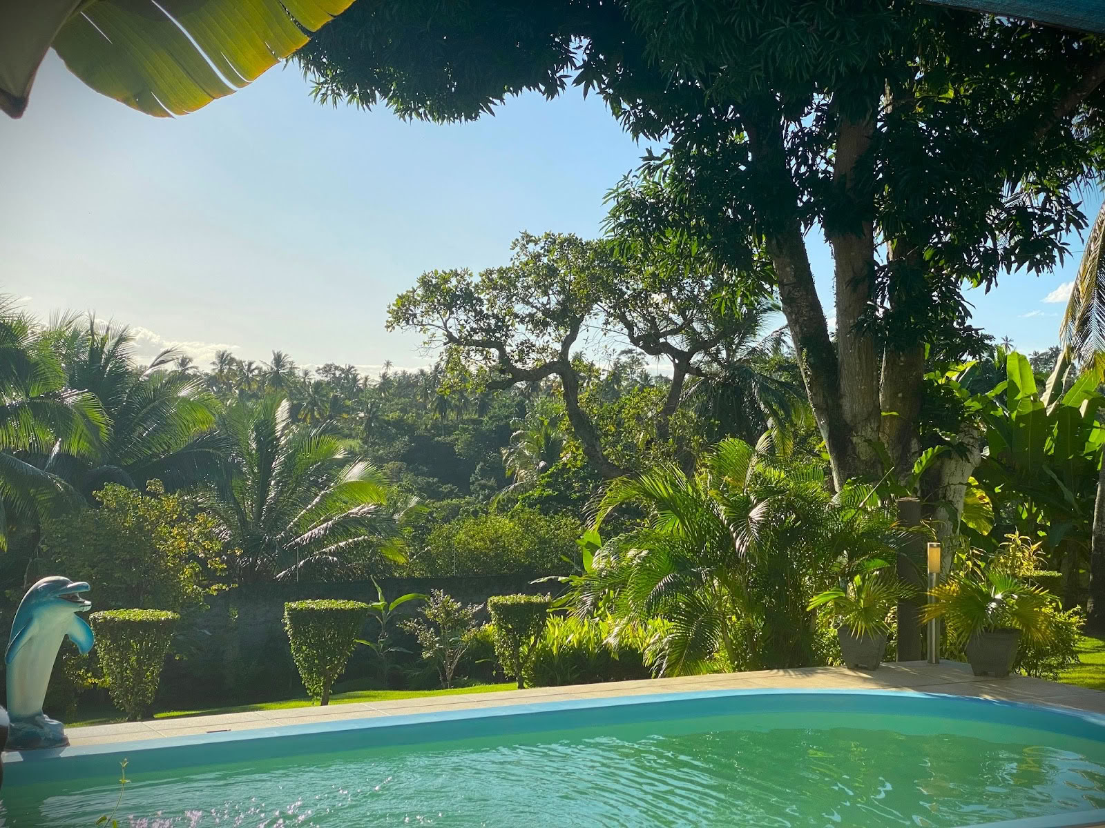Retiro de Ayahuasca Brasil