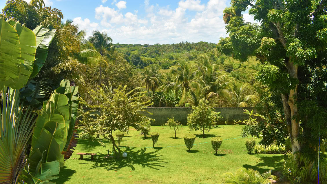 Retiro de Ayahuasca Brasil