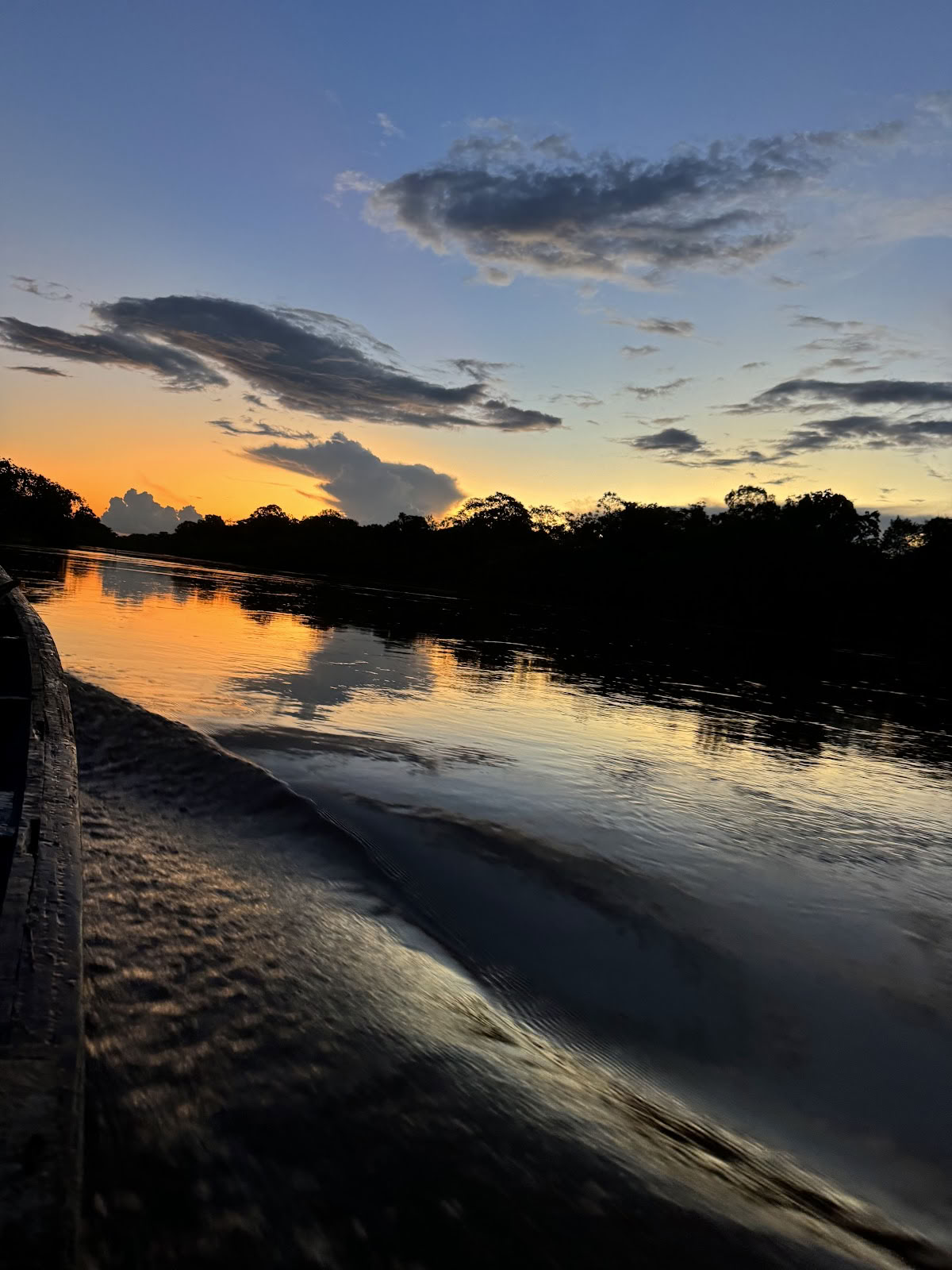 Ayahuasca Eco Tours