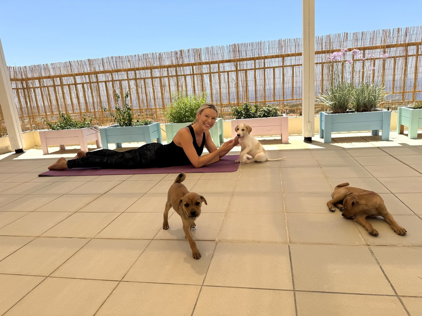Retiro de yoga con cachorros