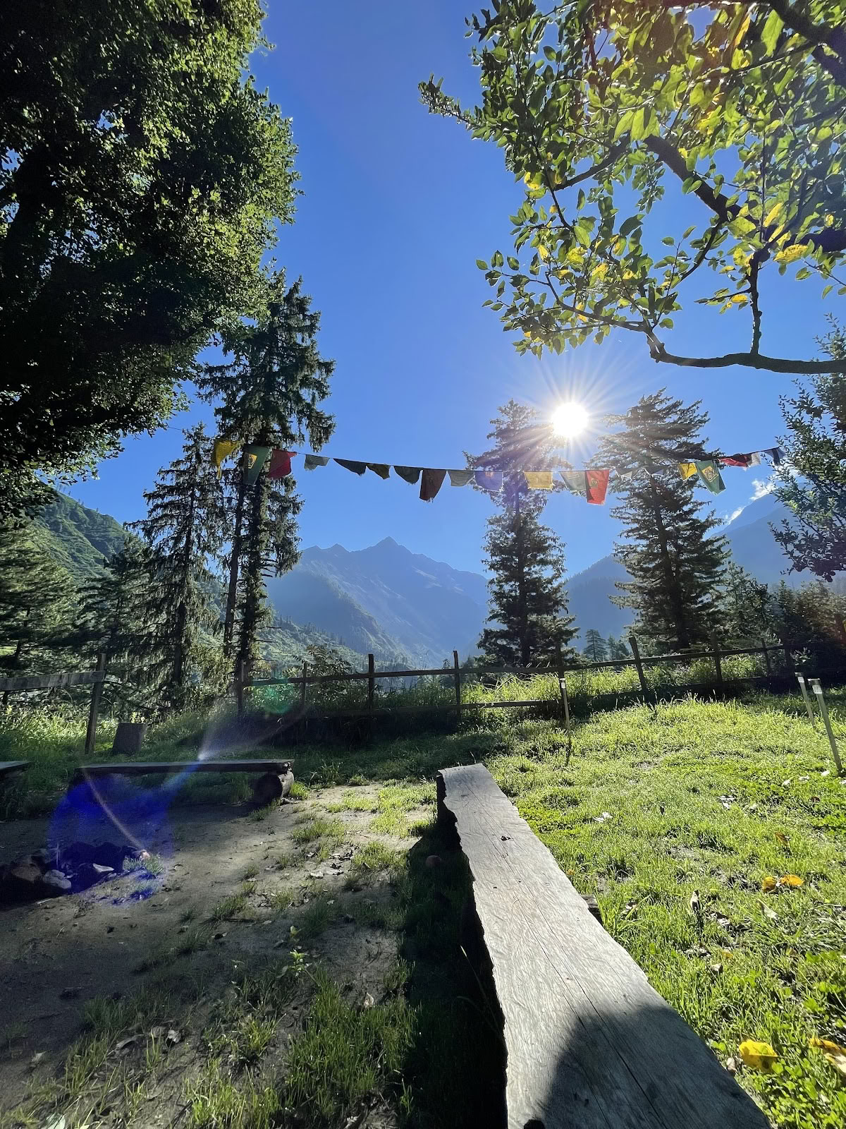 Ameya Himalayan Yogi's