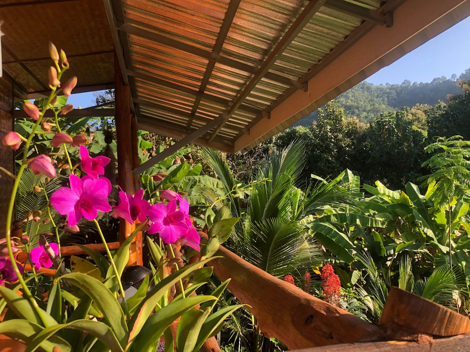 True Nature Chiang Mai - Yoga & Meditation Home Stay Retiro