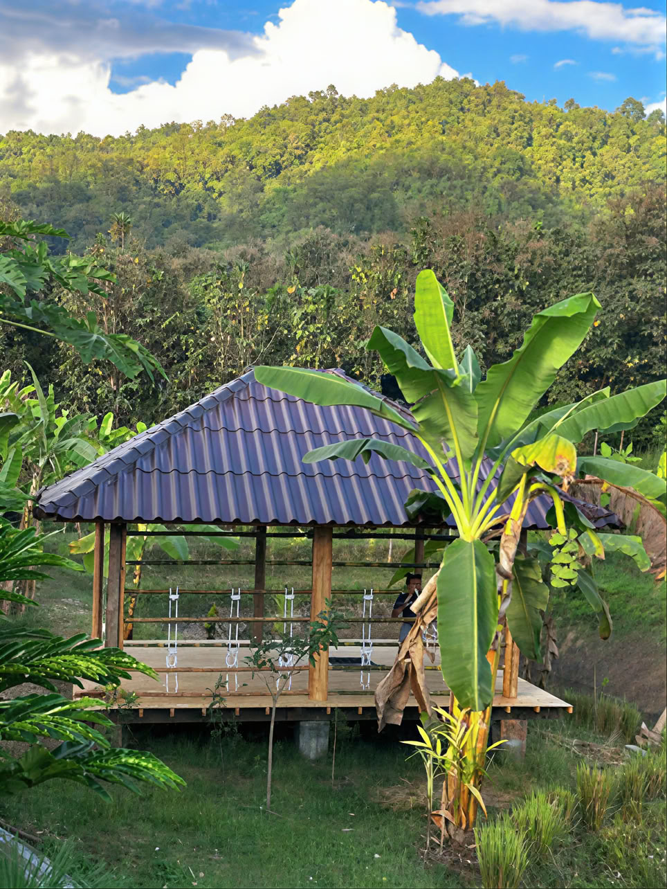 True Nature Chiang Mai - Yoga & Meditation Home Stay Retiro