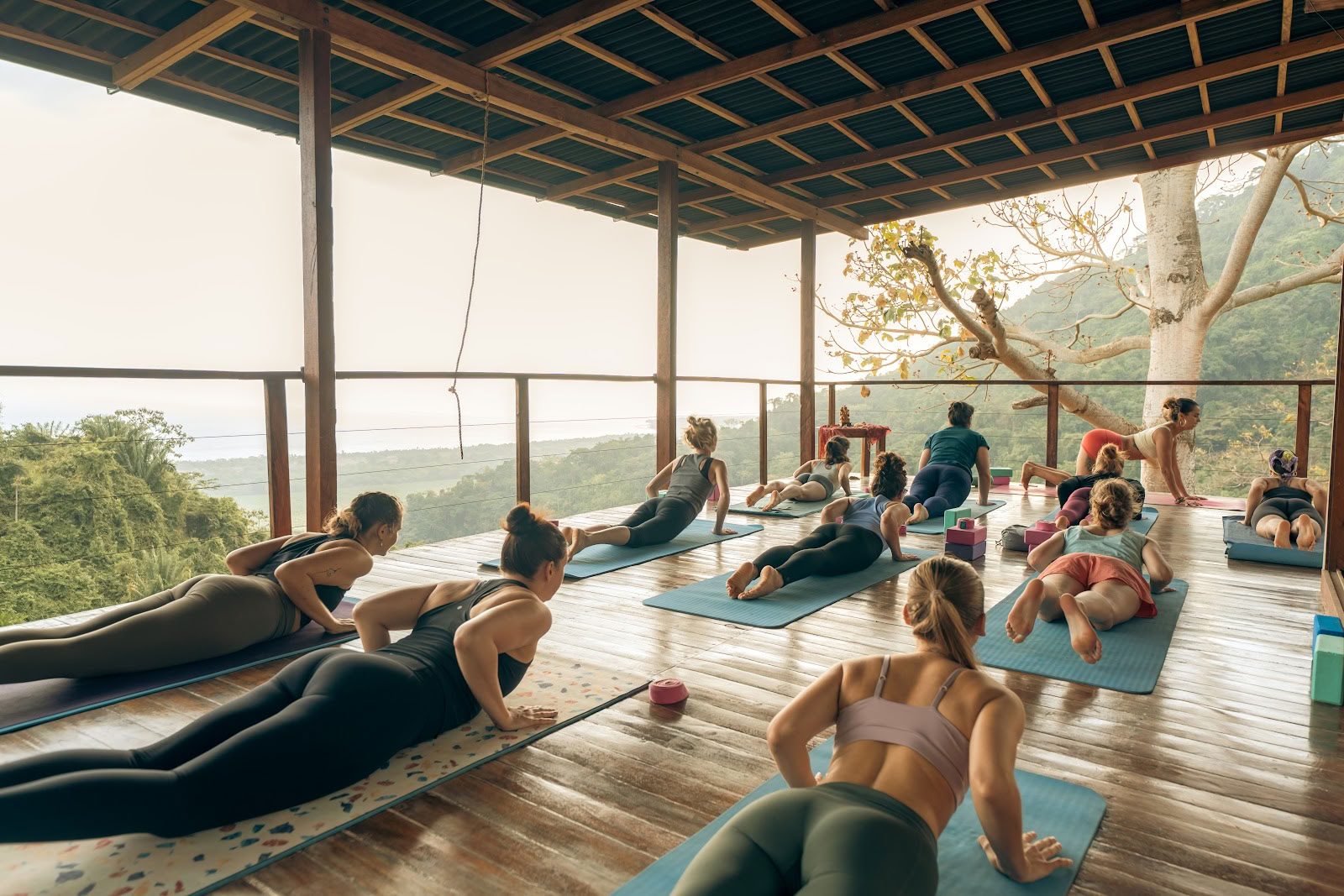 Ahimsa Yoga School