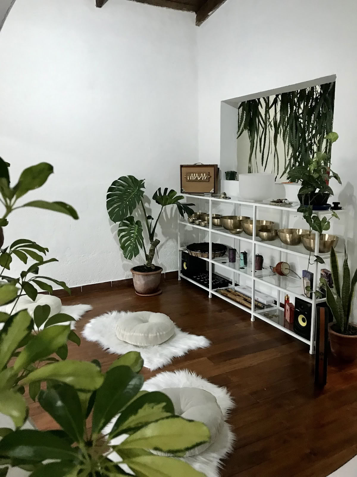 Holistic Bloom - Centro de Salud y Bienestar