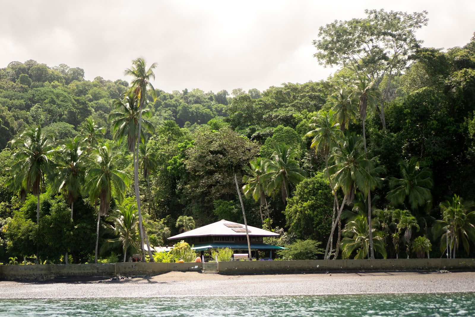 Pandorita Costa Rica - Talleres de Ayahuasca