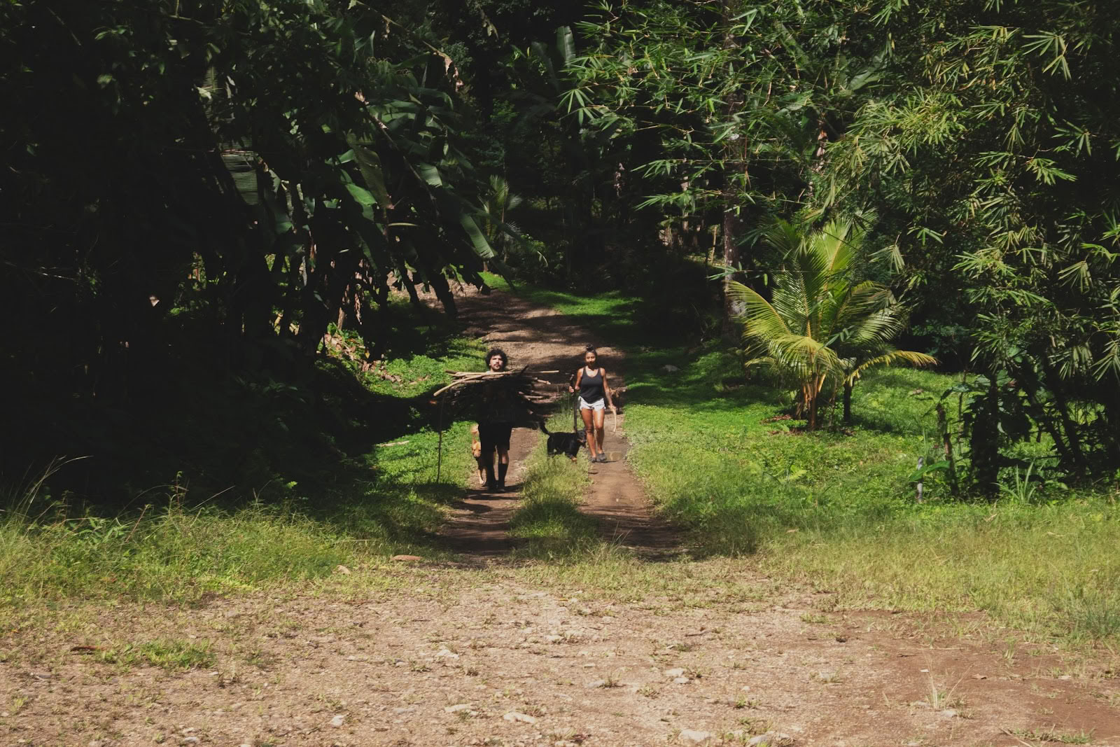 Finca Shambhala Orgánica