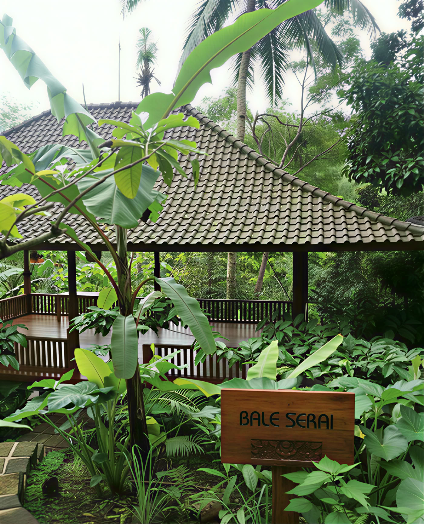 Colina del Árbol de Clavo - Eco Resort de Bali