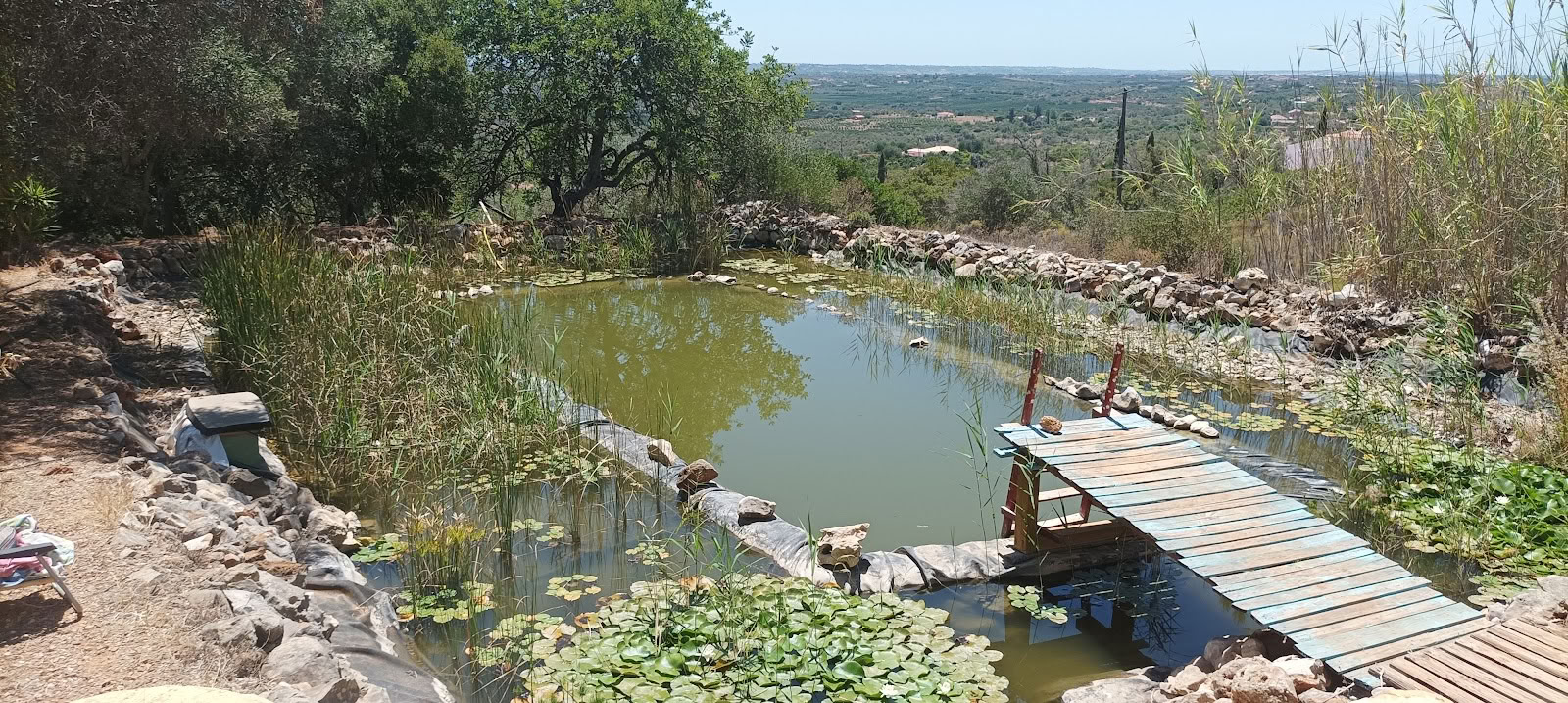 El Santuario del Círculo Sanador