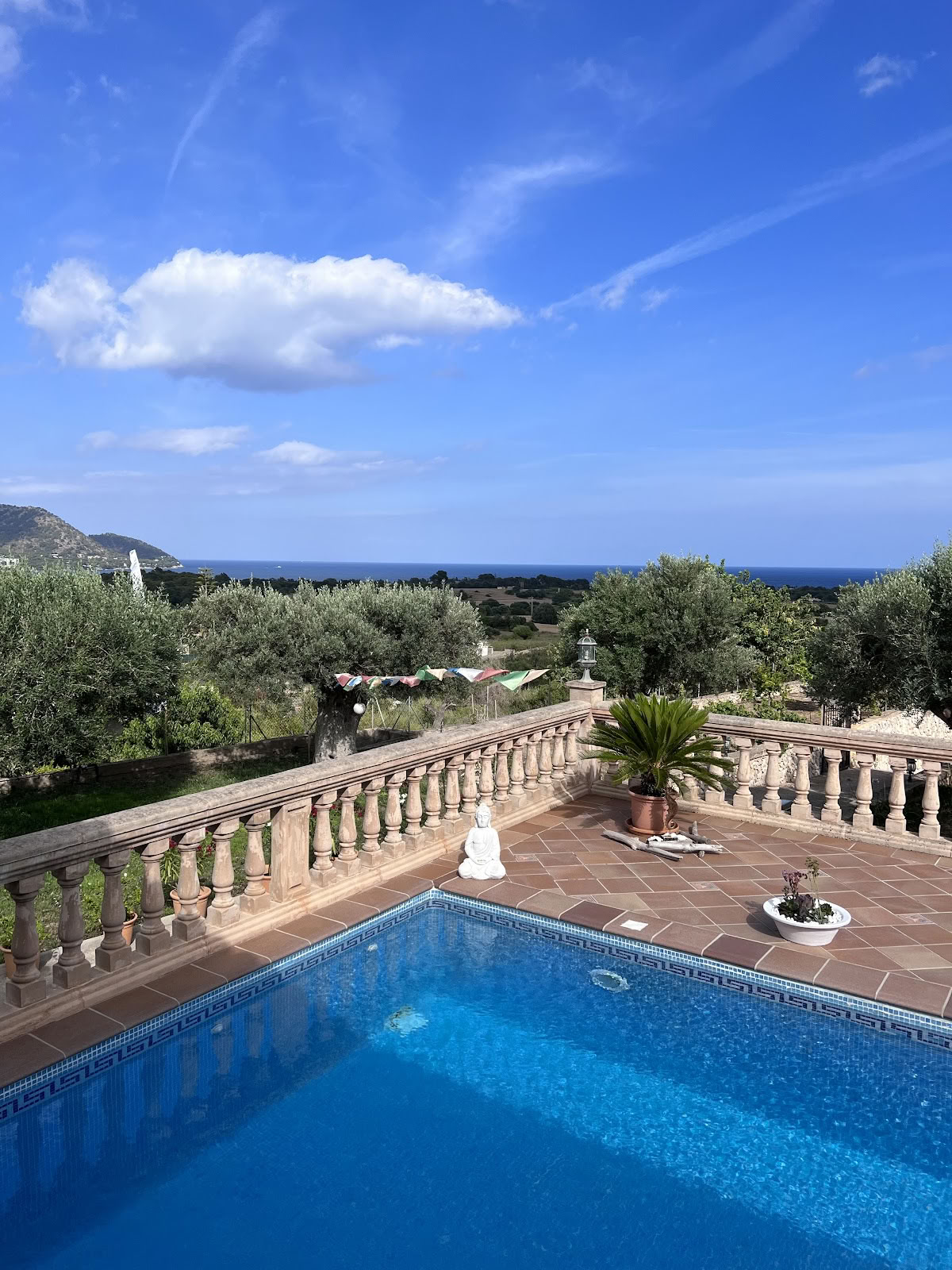 Ashram Mallorca | Viajes de respiración | EMDR e hipnosis | Coaching | Apertura del corazón y trabajo de visión