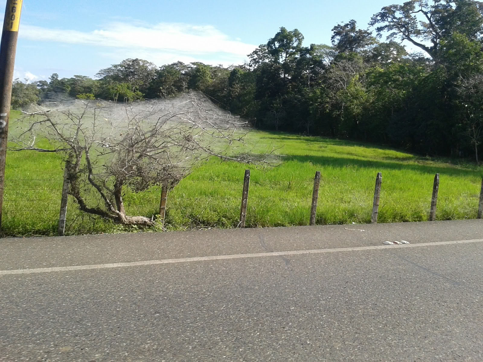 Península de Osa