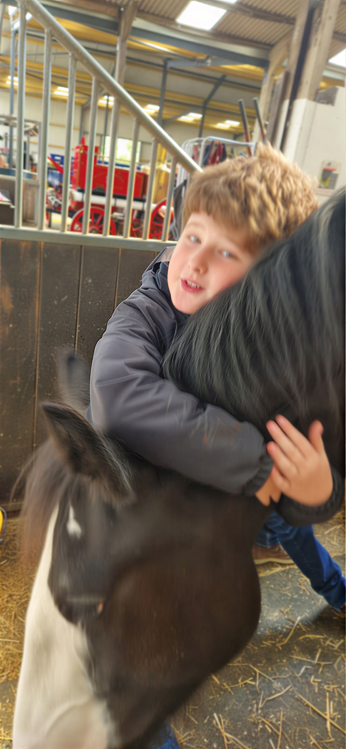 Meditate with Horses Ltd