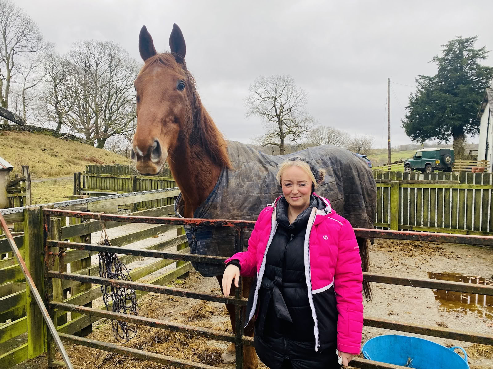 Meditate with Horses Ltd