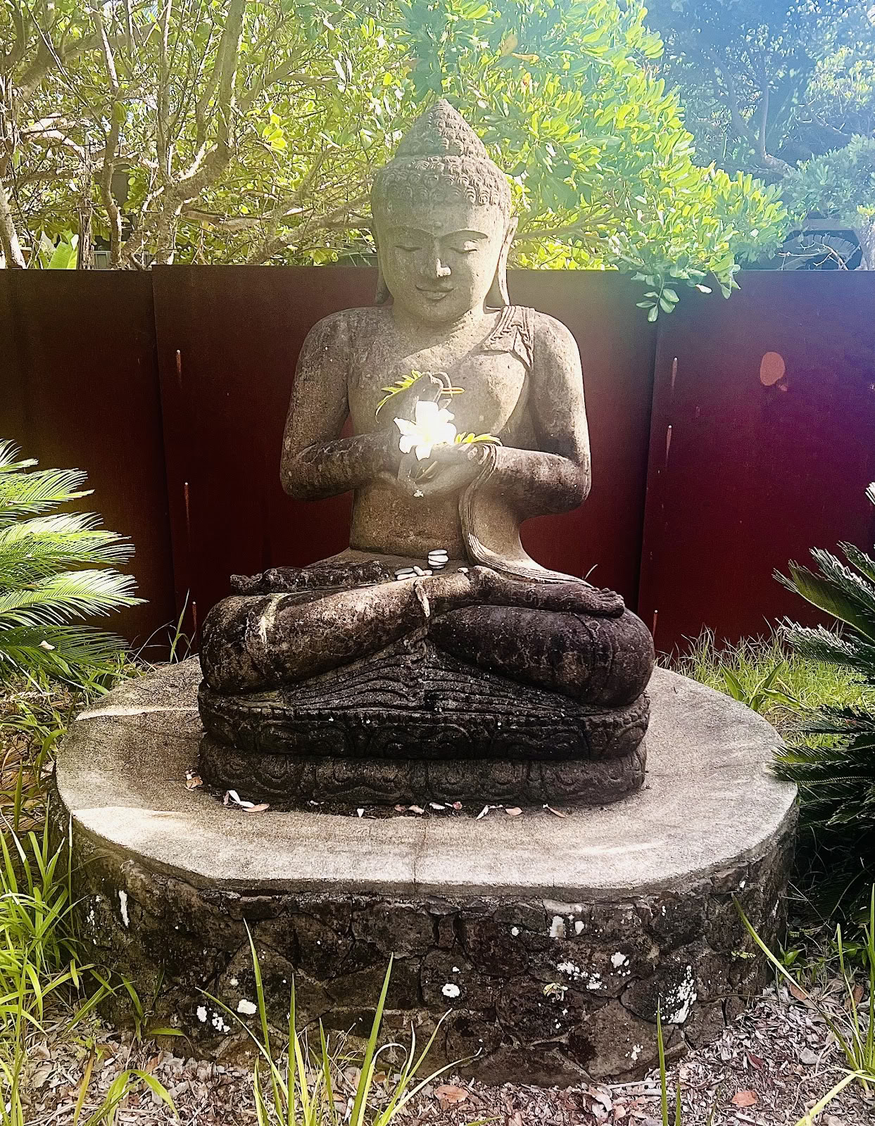 Byron Bay Retiros