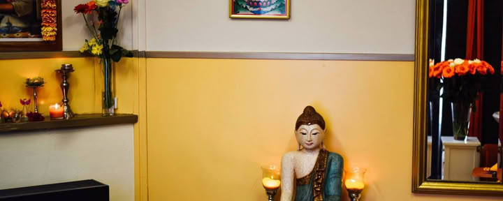 Palmas del Ayurveda