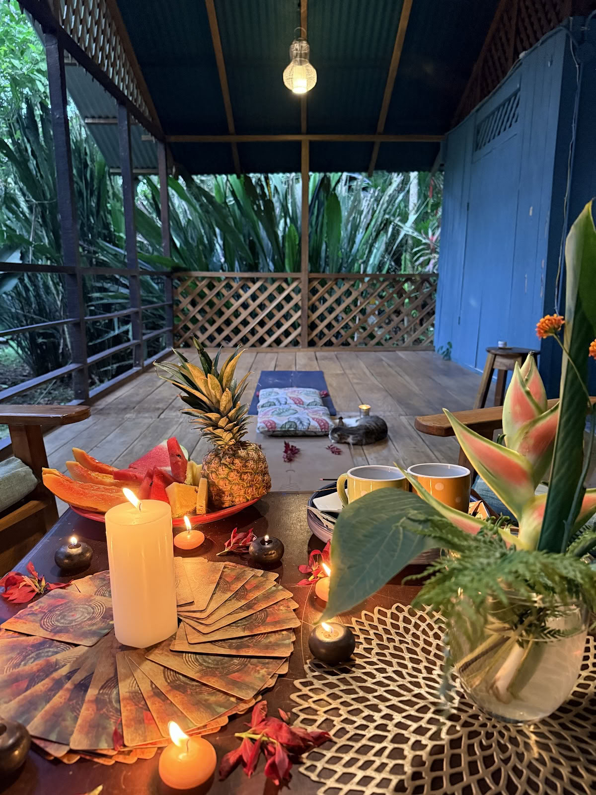 Julie LiT Yoga Teacher | Life Coach | Retiros