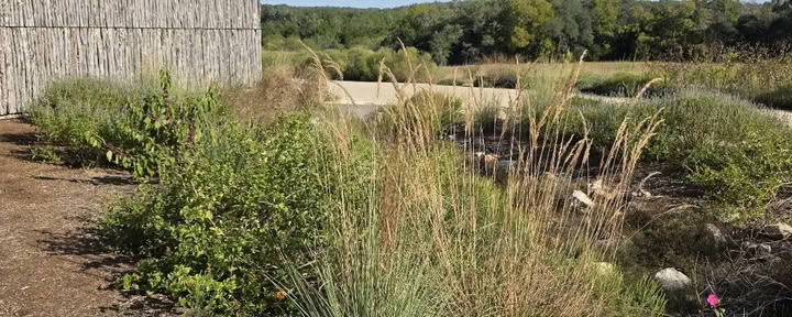 Camping en Shield Ranch