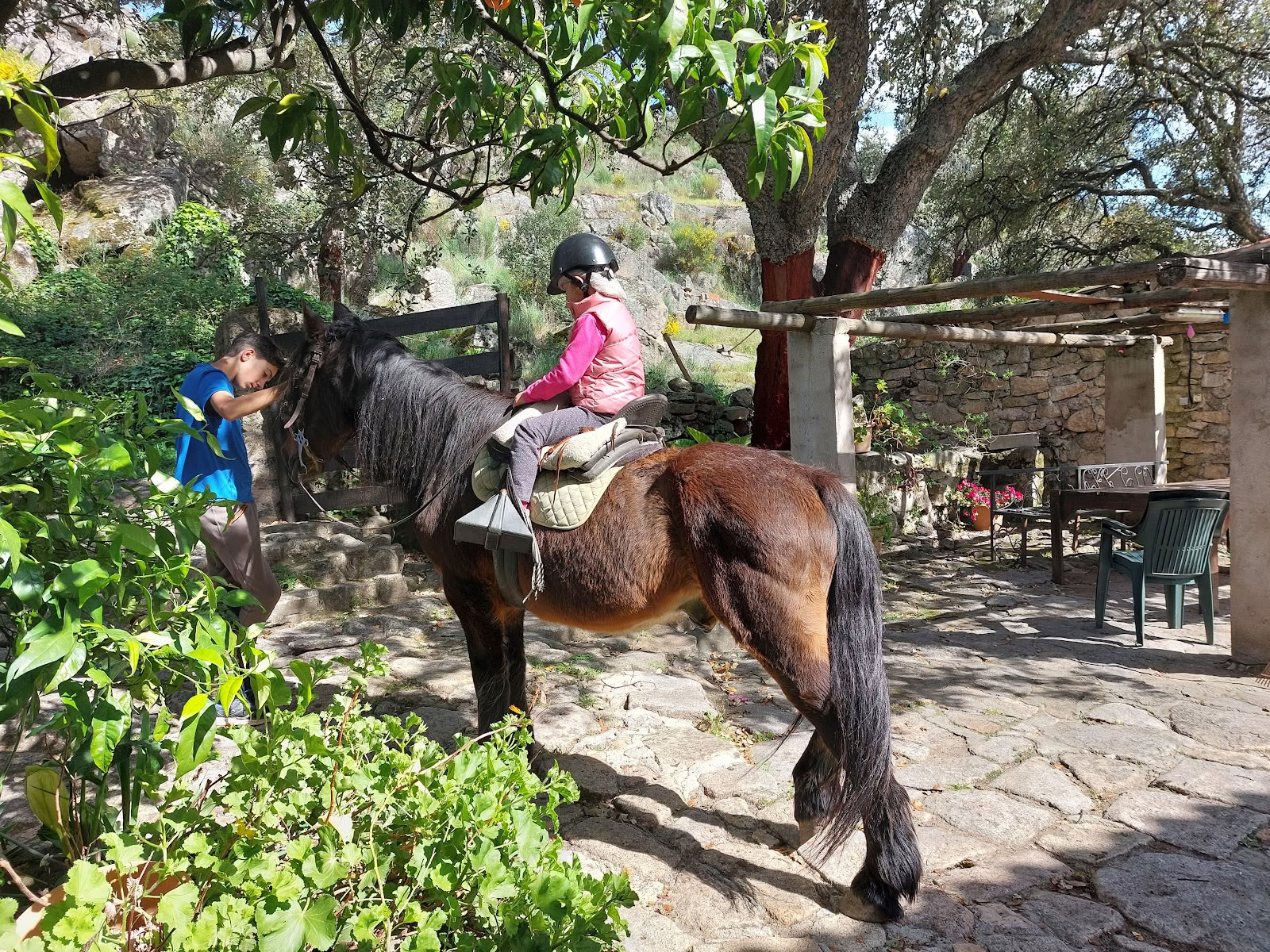Marvão Horses