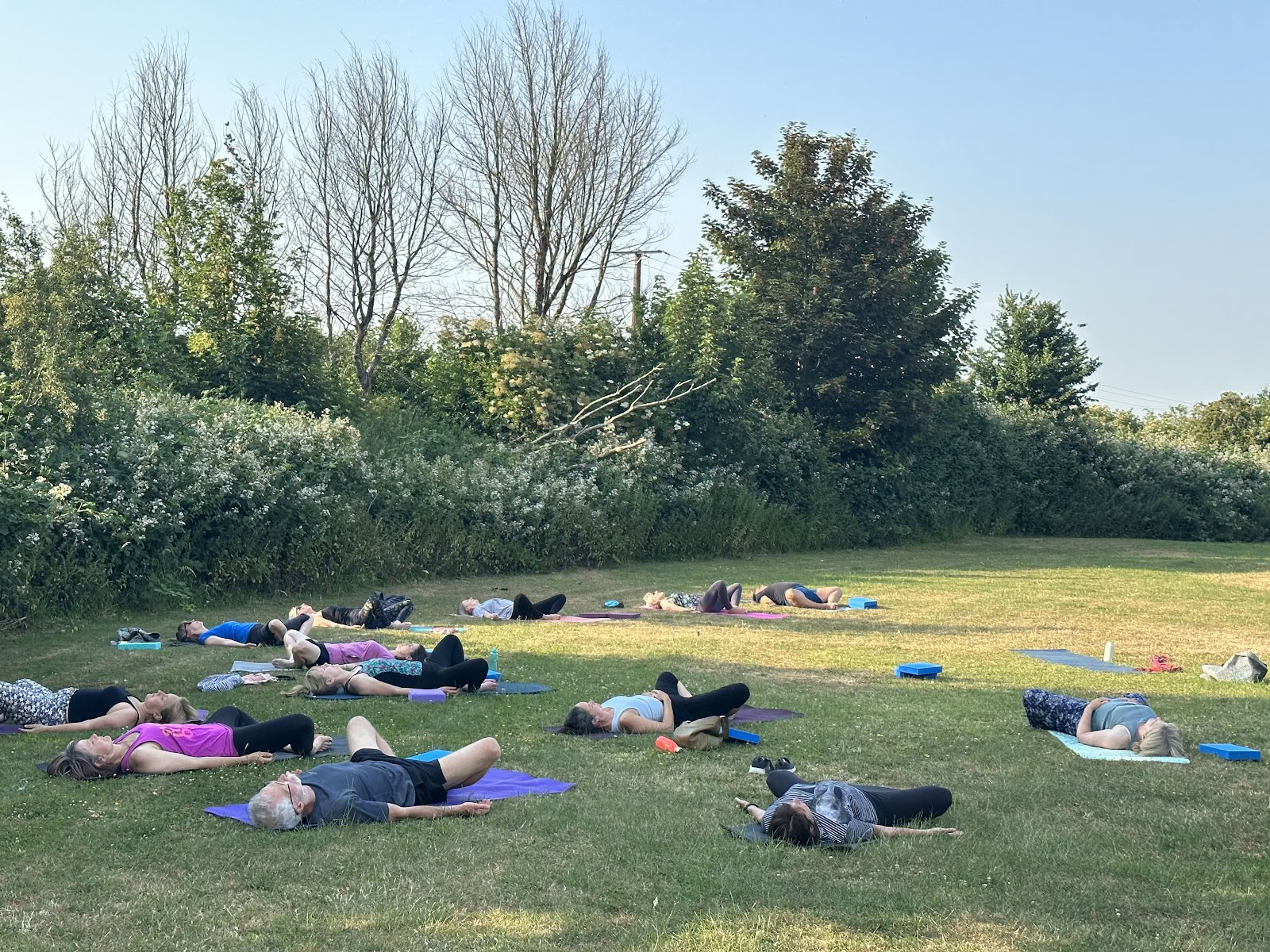 Haz yoga