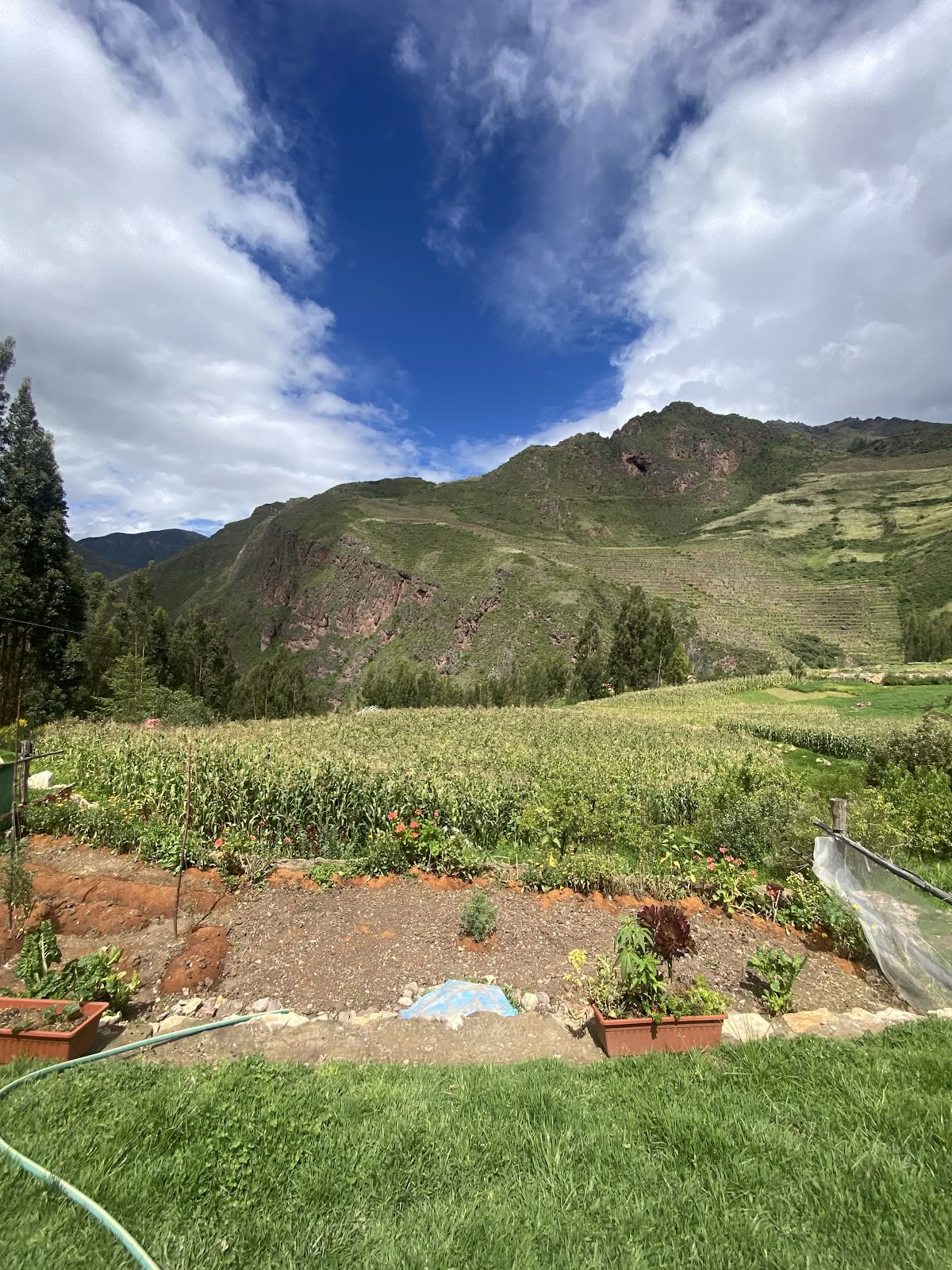 Ayahuasca Spiritual Center Cusco