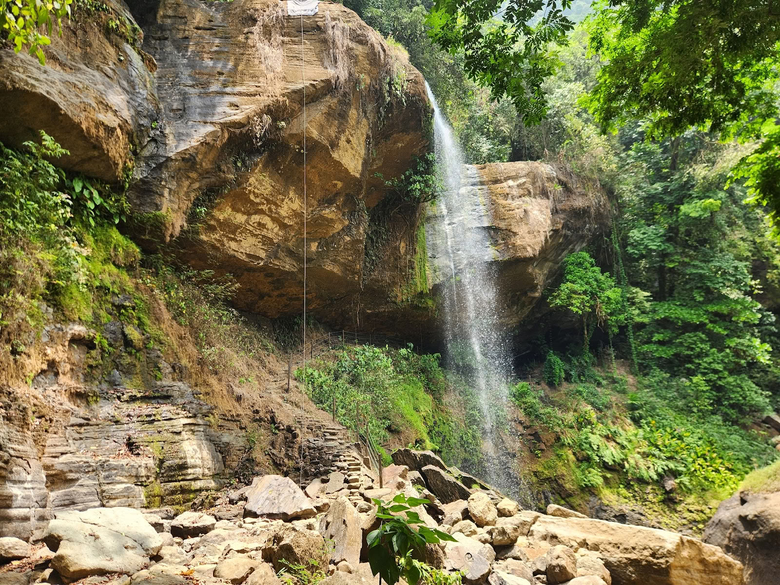 Viajes del Pacífico