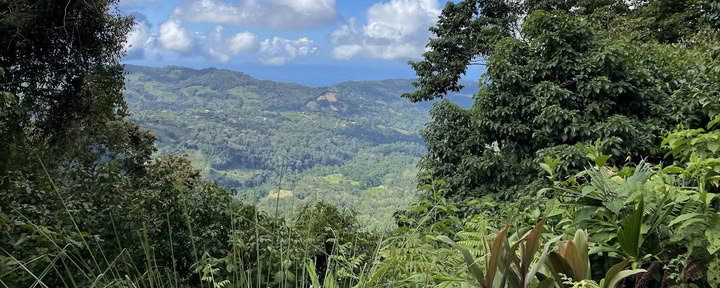 Viajes del Pacífico