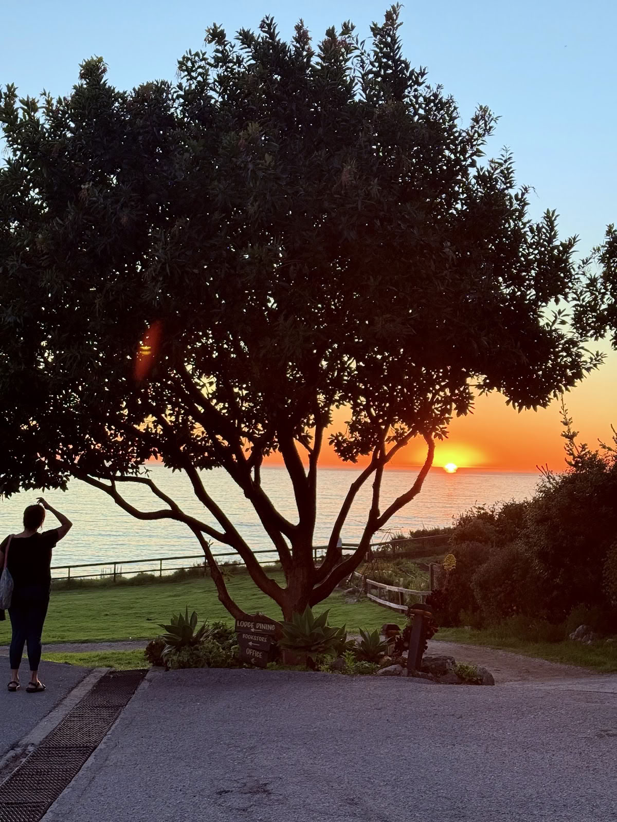 Los Baños, Esalen