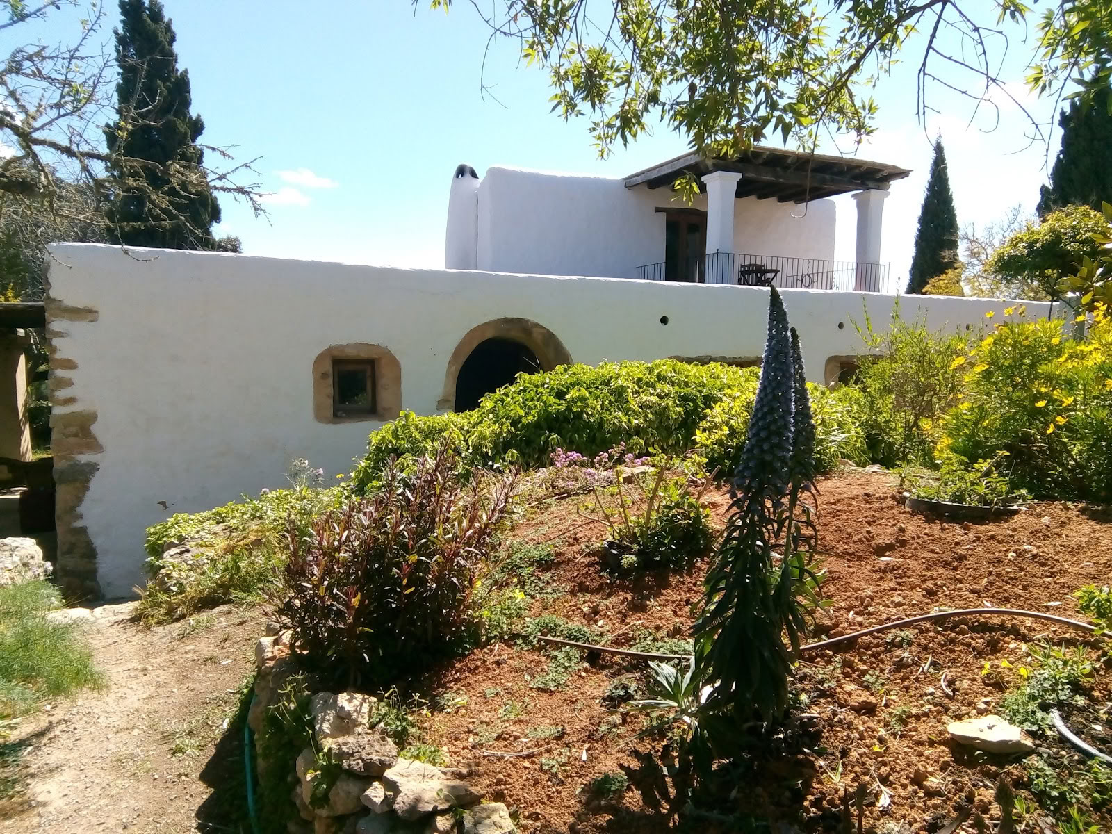 Artes en Movimiento de Ibiza