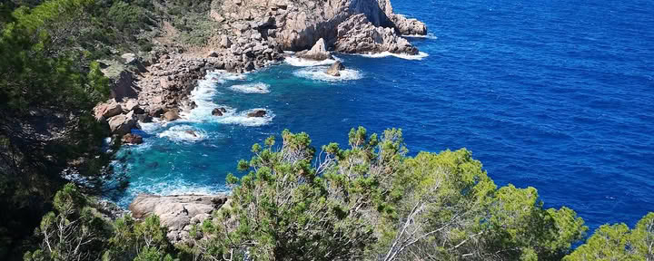 Artes en Movimiento de Ibiza