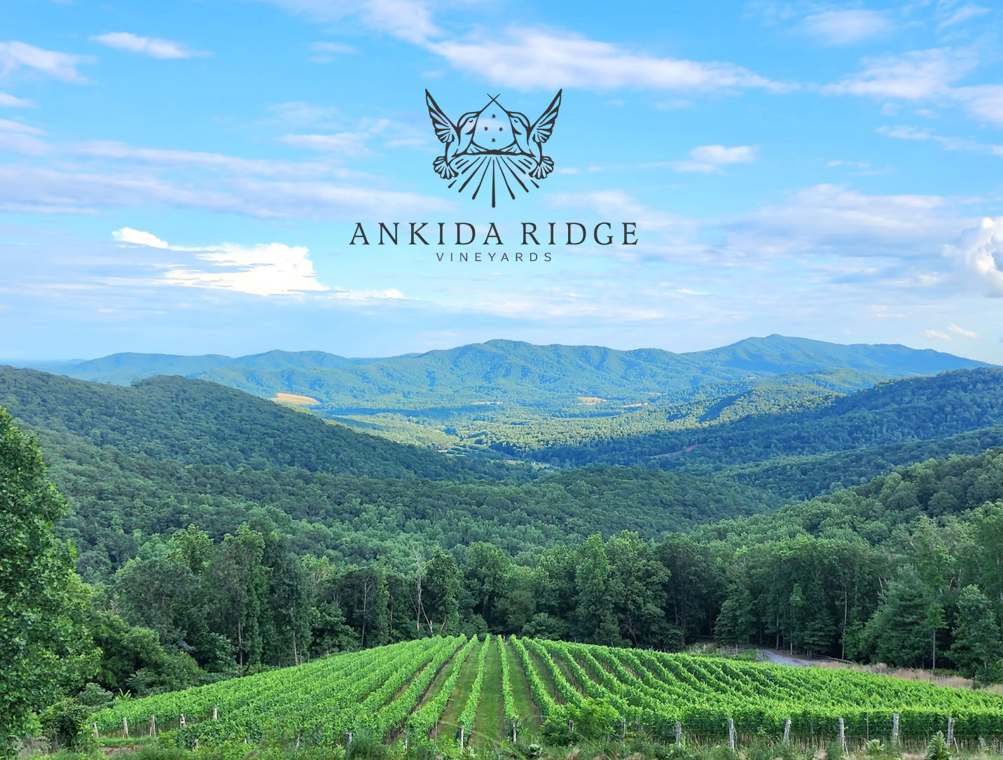 Viñedos de Ankida Ridge