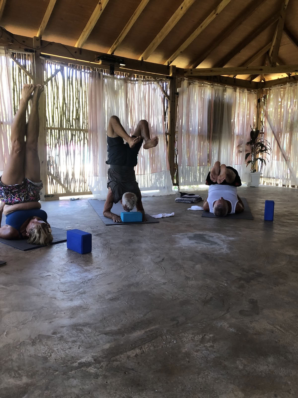 Wise Wellness - Centro de yoga / spa de día y iTal Mama Café vegano