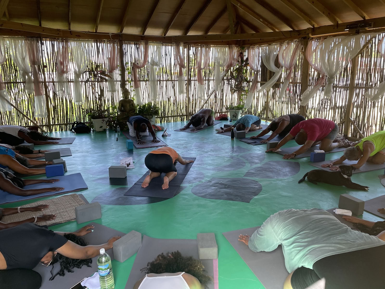 Wise Wellness - Centro de yoga / spa de día y iTal Mama Café vegano