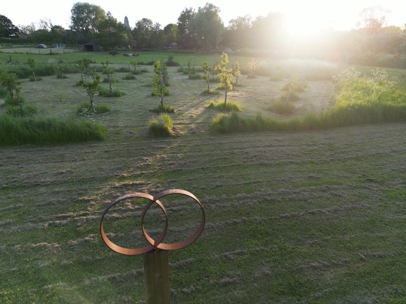Campo de sanación