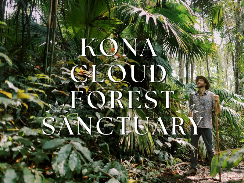 Santuario del Bosque Nuboso de Kona