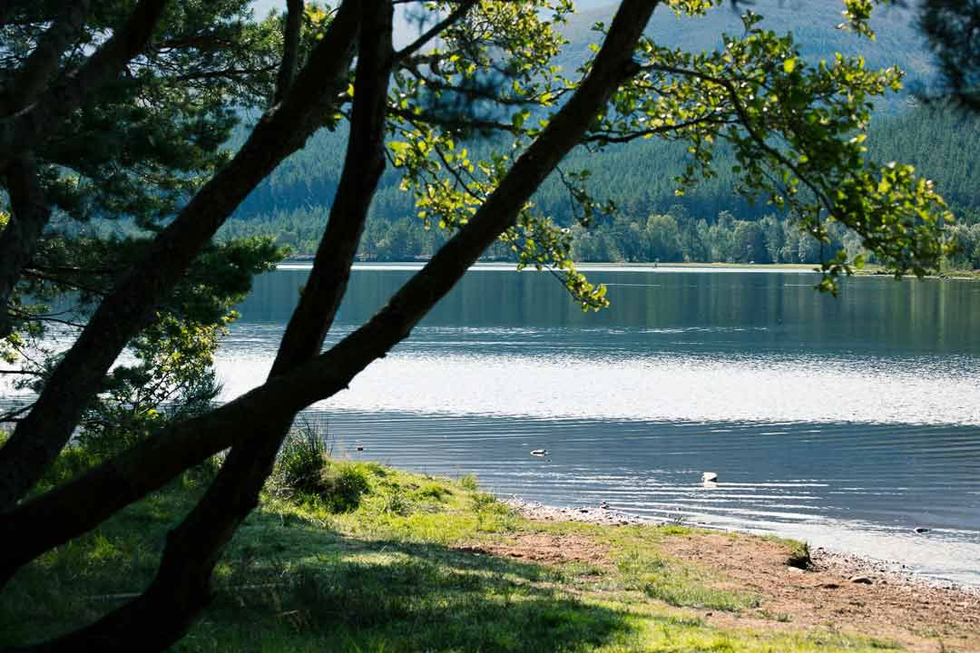 Loch Rannoch Hotel, Spa y Estate