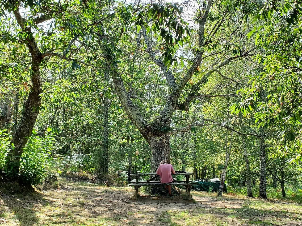 Amor, Evoluciona, Despierta en Mahadevi Ashram