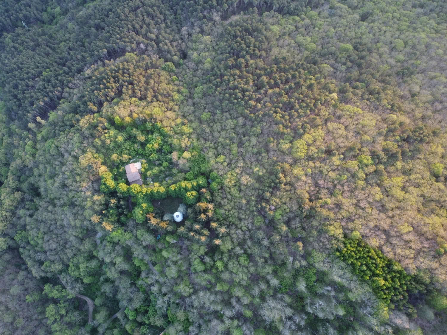Amor, Evoluciona, Despierta en Mahadevi Ashram