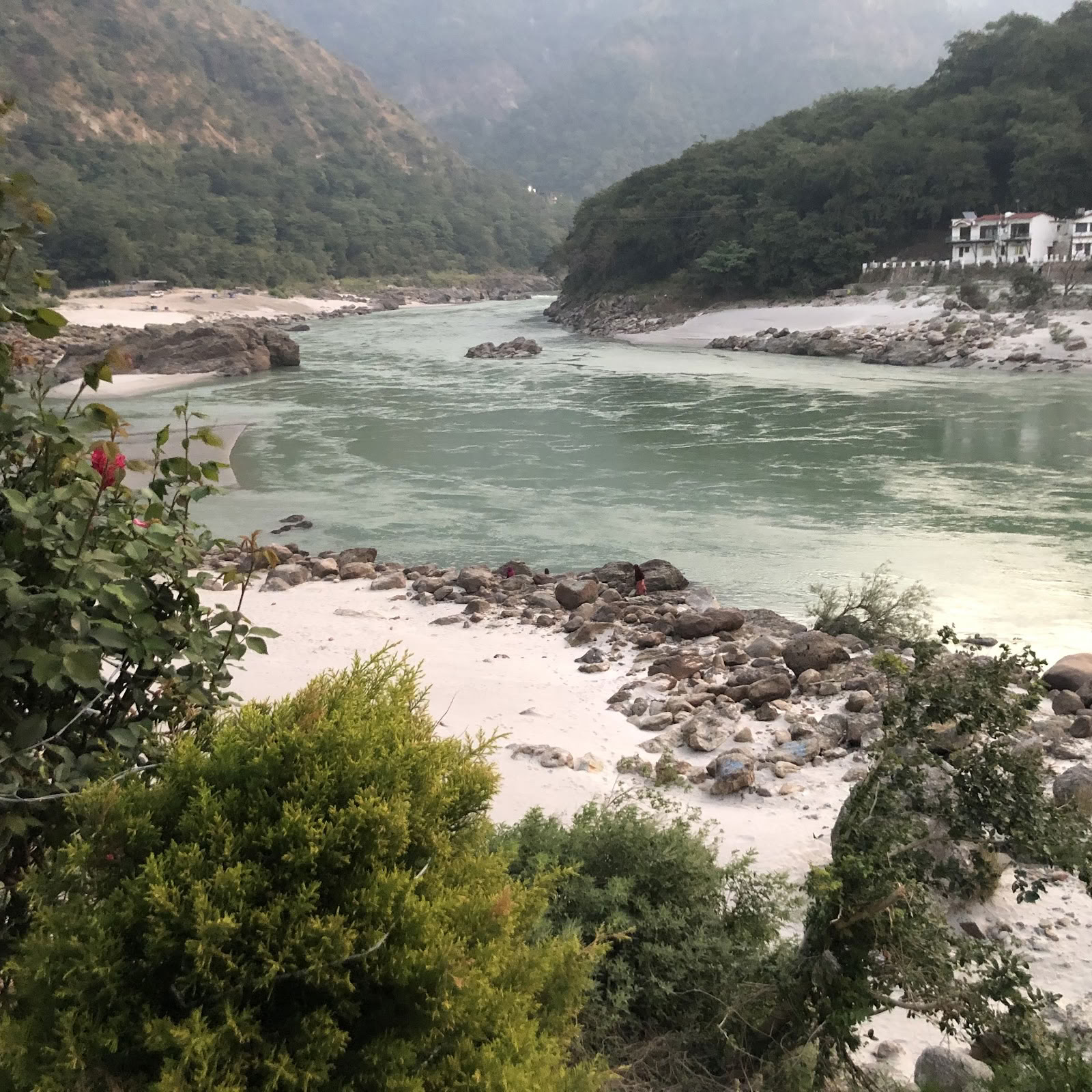 Un Instituto Yóguico del Himalaya en Rishikesh