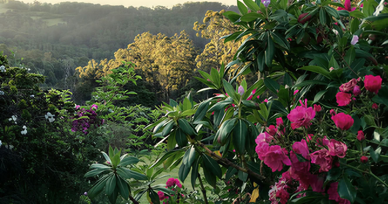 Retiro Mirador Springs
