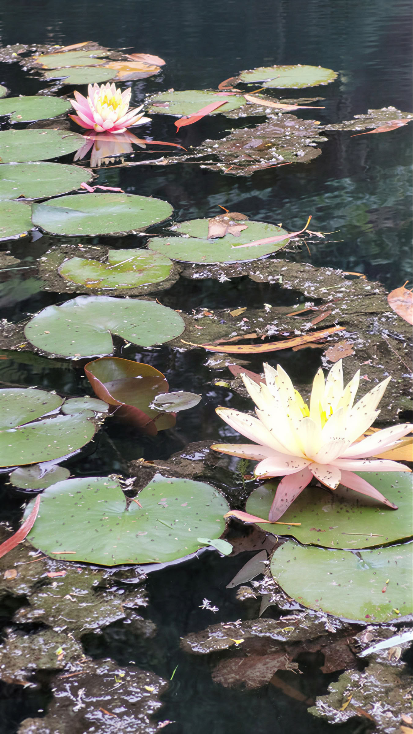 Retiro Mirador Springs