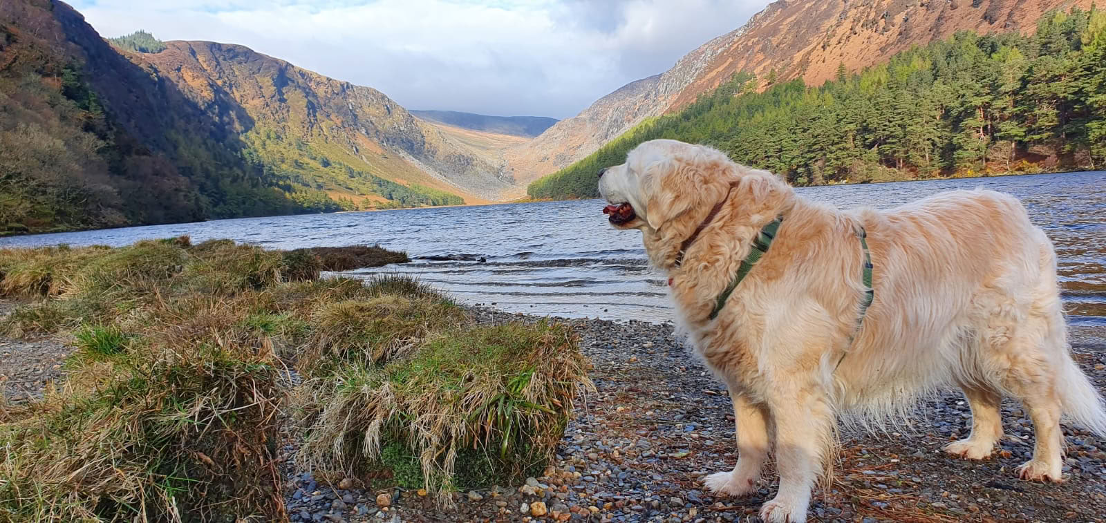 Santuario de Glendalough